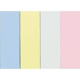 PAGE MARKER PASTEL 19X50 SN6047