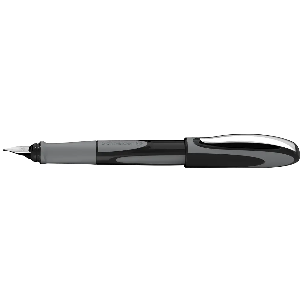 PERO NAL. SCHNEIDER RAY X 12/1-DISPLAY