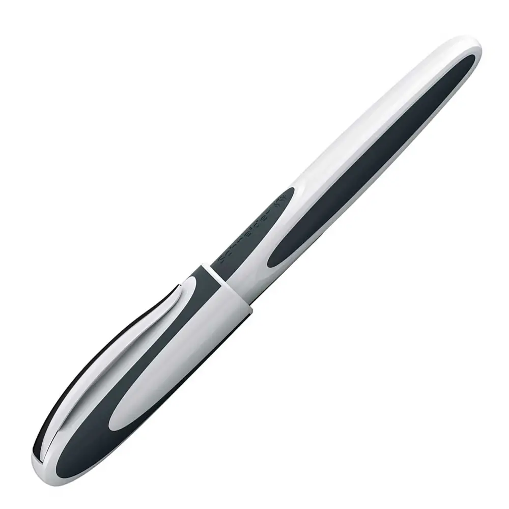 PERO NAL. SCHNEIDER RAY X 12/1-DISPLAY