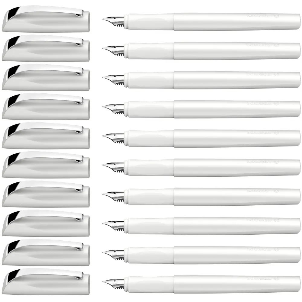 Pero nalivno SCHNEIDER Ceod shiny