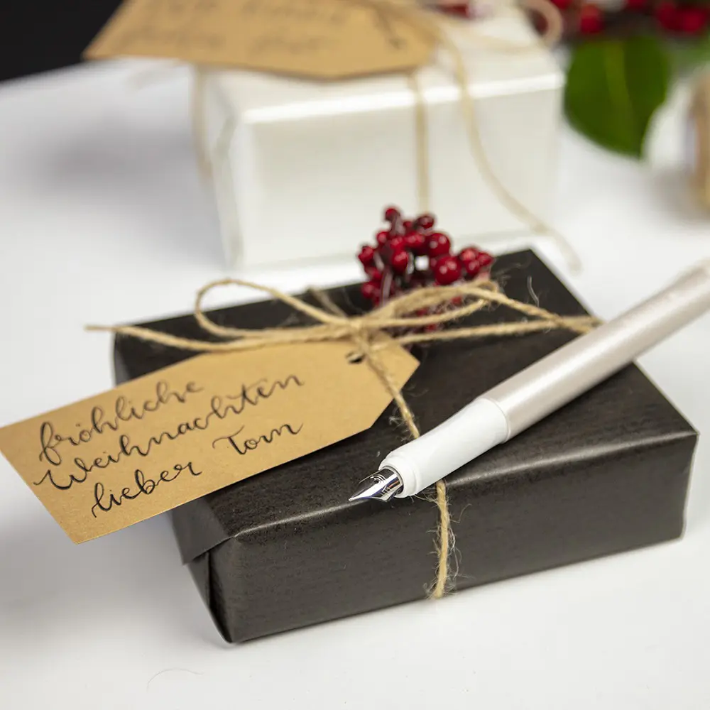 Pero nalivno SCHNEIDER Ceod shiny