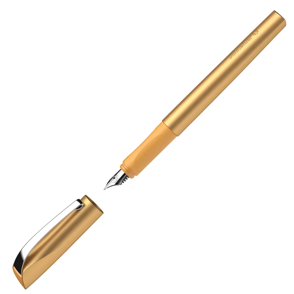 Pero nalivno SCHNEIDER Ceod shiny