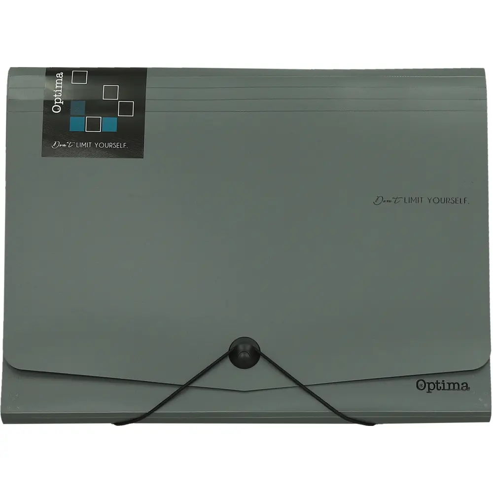 Mapa za dokumente office A4/12P siva