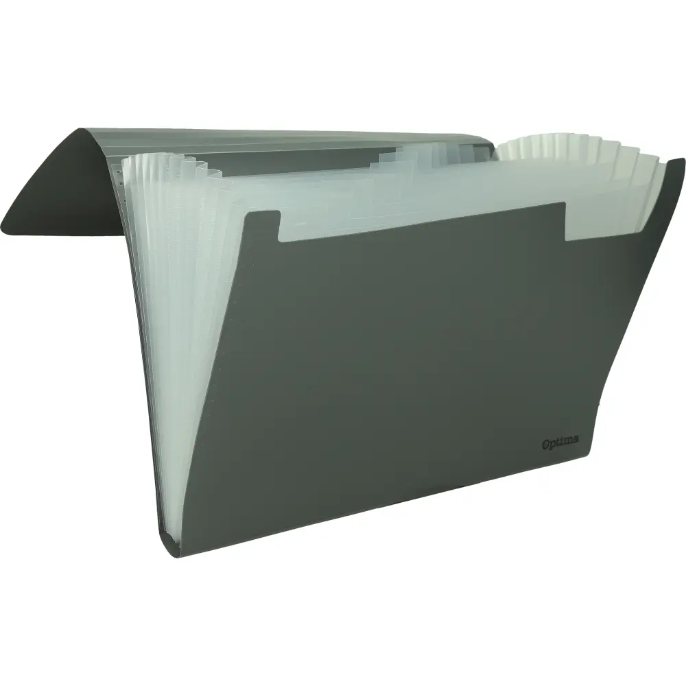 Mapa za dokumente office A4/12P siva