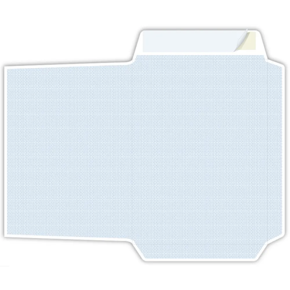 PIGNA COMPETITOR envelope 19x26, 100 g