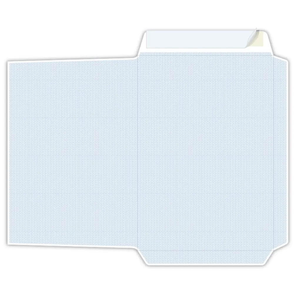 PIGNA COMPETITOR envelope 23x33, 100 g