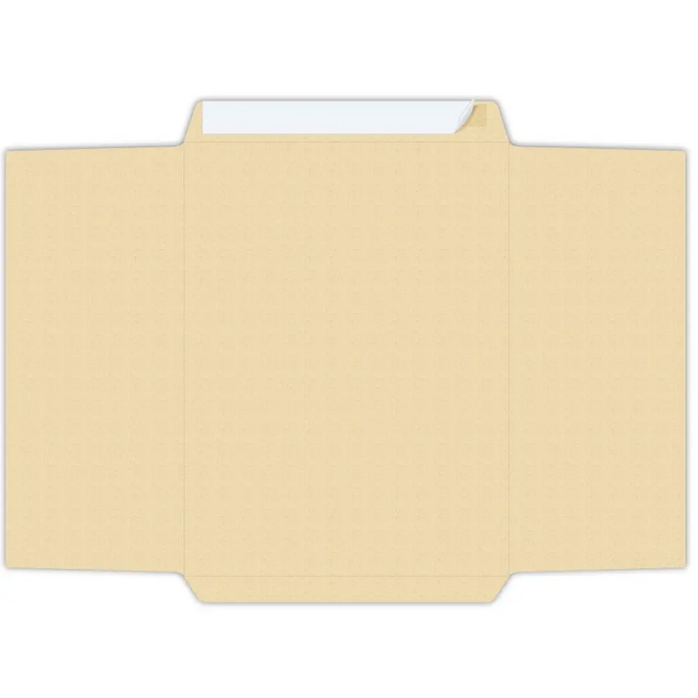 PIGNA kraft envelope 30x40, 100 g