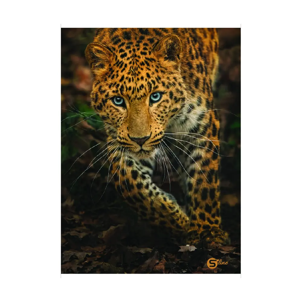 ZVEZEK SLINE2 A4/1R 52L