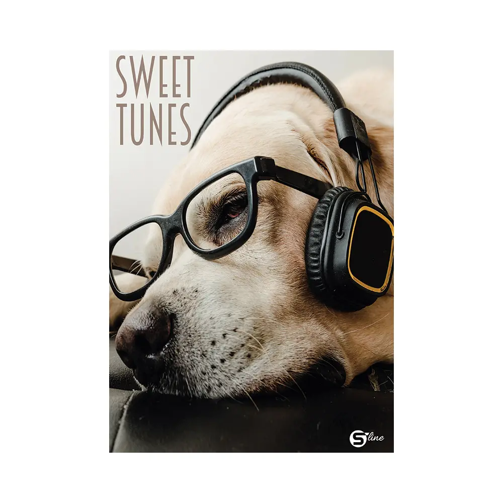 ZVEZEK SLINE1 A5/OC 52L