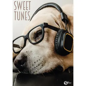 ZVEZEK SLINE1 A5/OC 52L