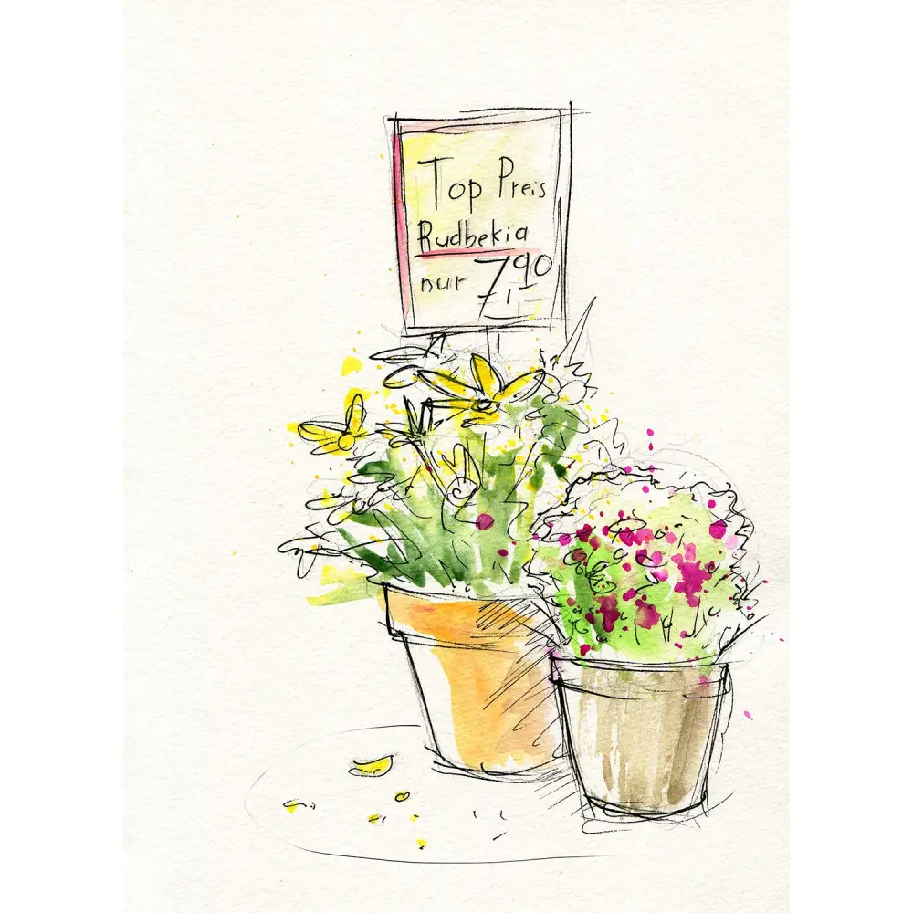 BARV. FC VODENE 24/1 CREATIVE STUDIO