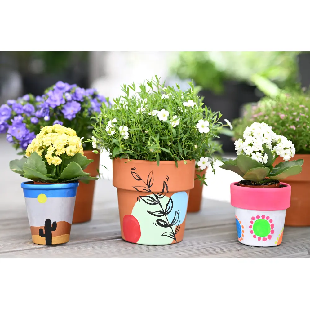 TEMPARE EFA SCHOOL BASIC 25 ml 6/1