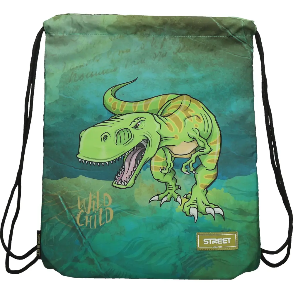 Vrečka Za Copate Dinosaur