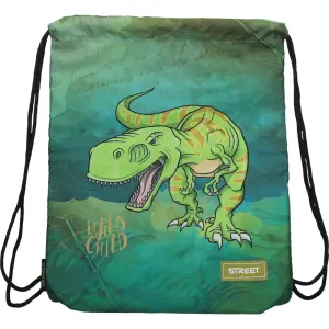 Vrečka Za Copate Dinosaur