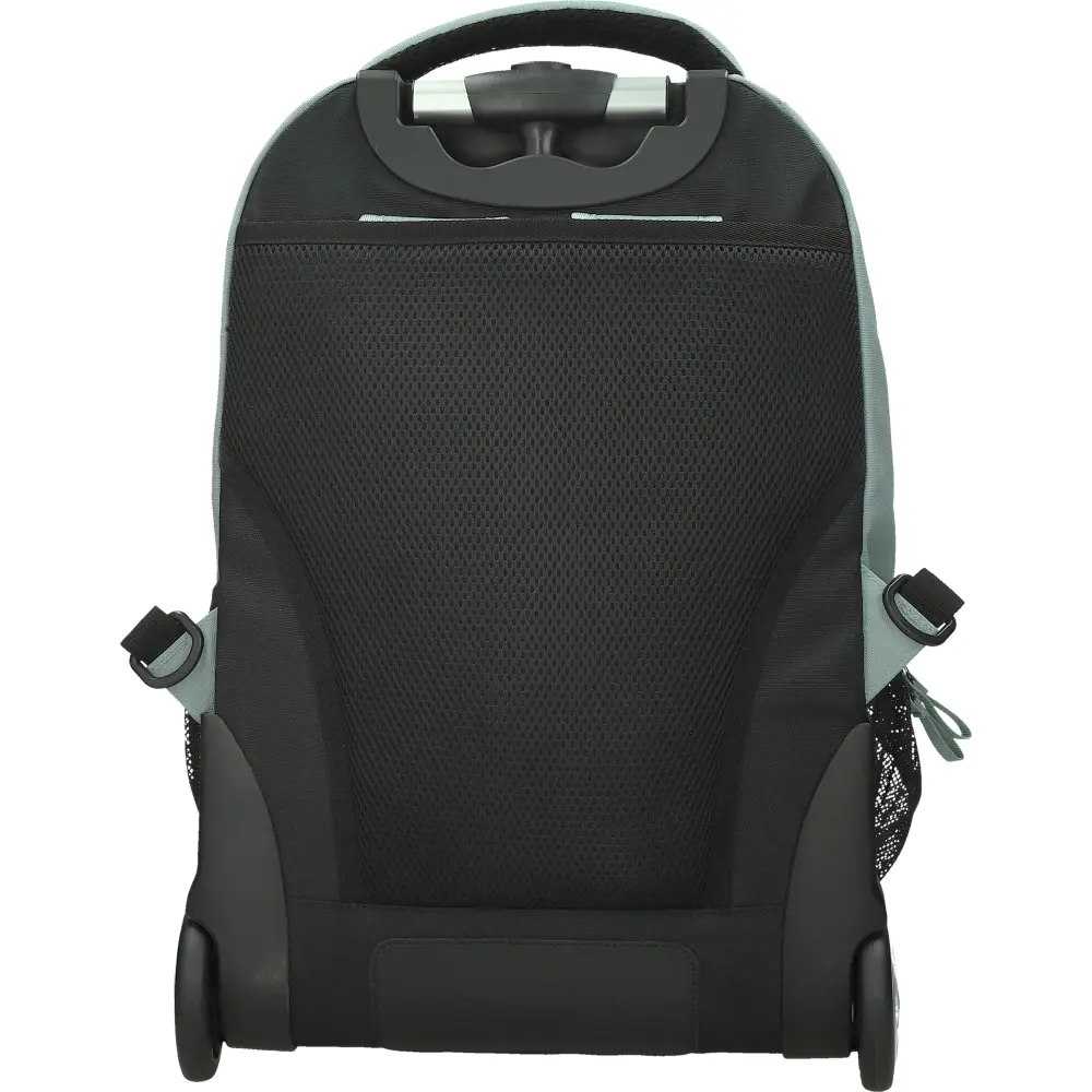 Trolley Impact Whale