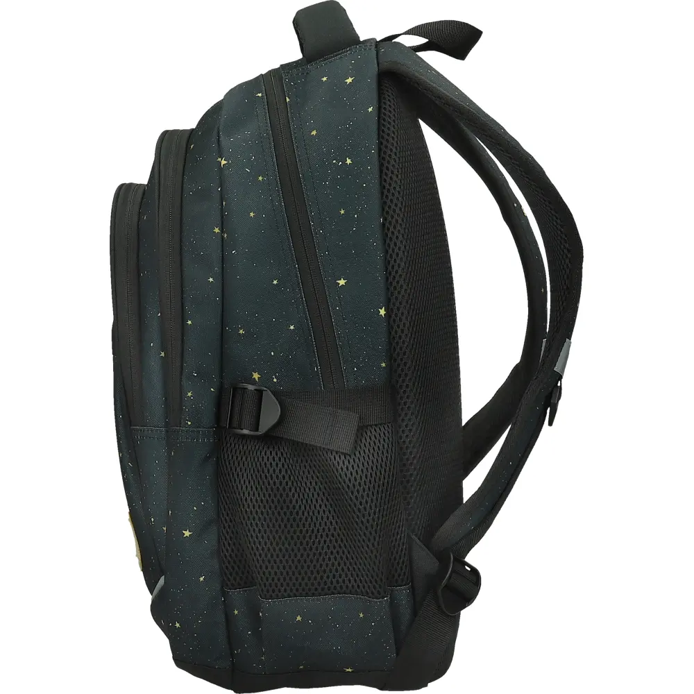 Nahrbtnik round Active Galactic