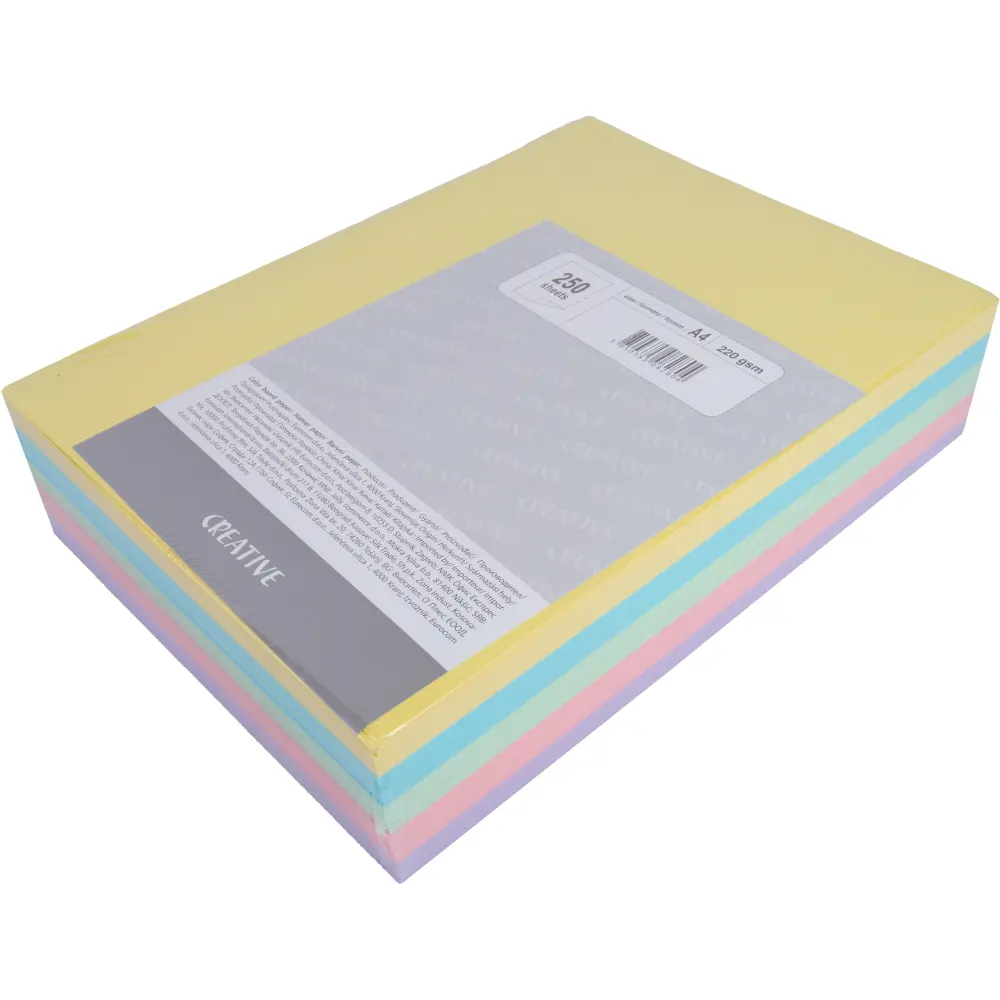 PAPIR RIS. A4 250L 5 BARV 220G