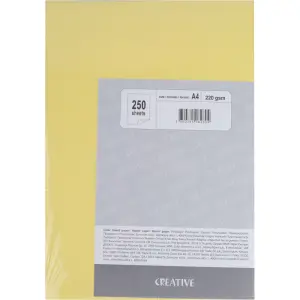 PAPIR RIS. A4 250L 5 BARV 220G  