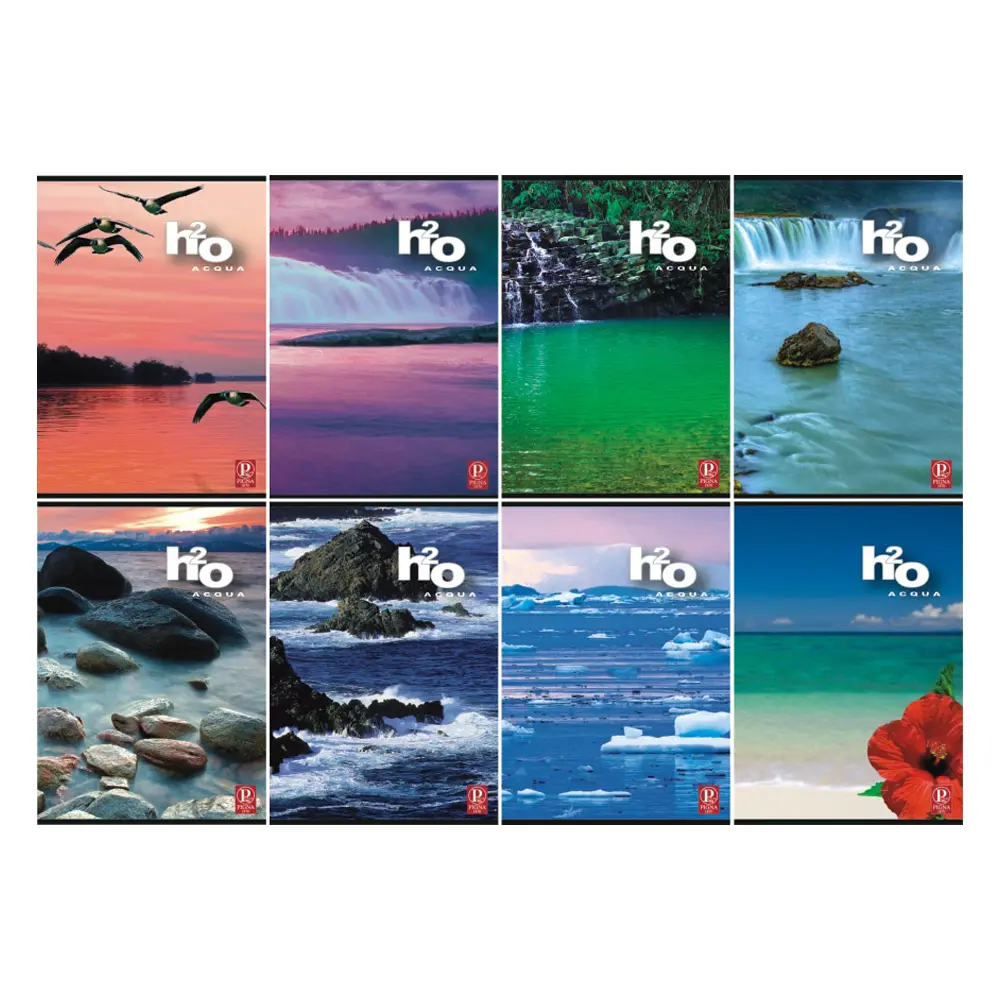 ZVEZEK TRDI PIGNA H20 A5 5M 96L