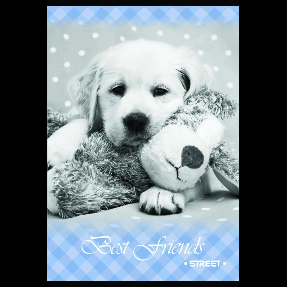 Zvezek Street1 A4 visoki karo