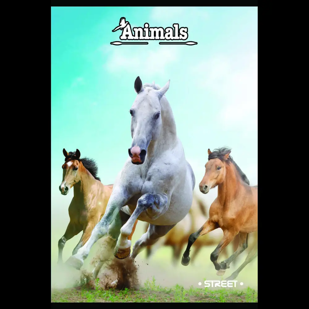 Zvezek Street2 A5 latajn