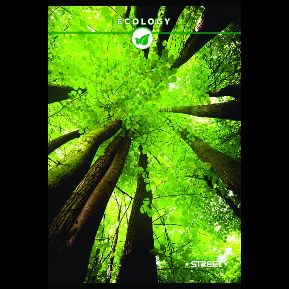 Zvezek s trdimi platnicami Street A4 črt