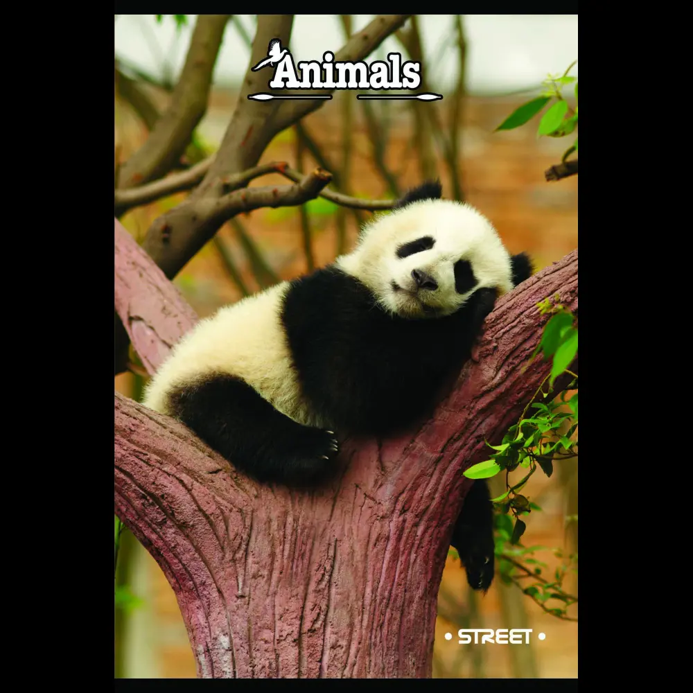 Zvezek s trdimi platnicami Street A4 črt