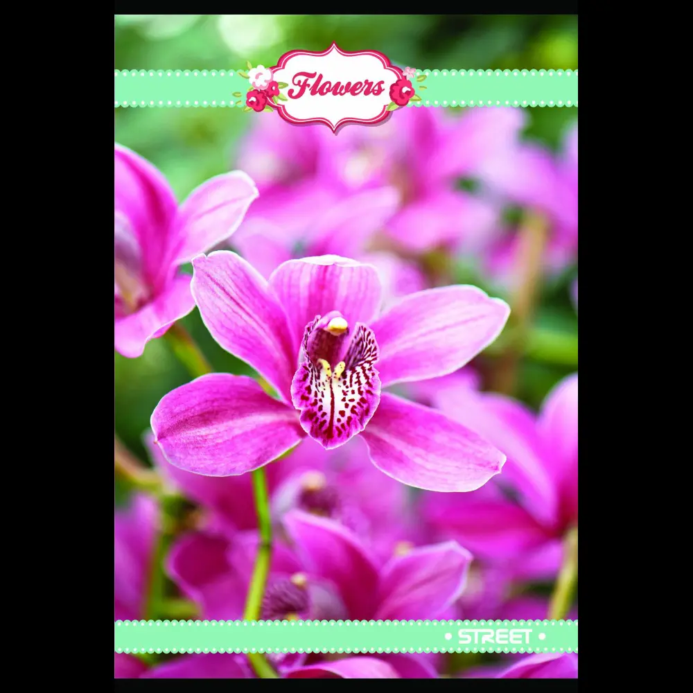 Zvezek s trdimi platnicami Street A5 črt