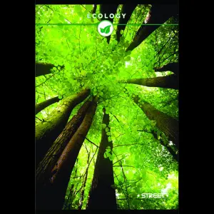 Zvezek s trdimi platnicami Street A5 črt