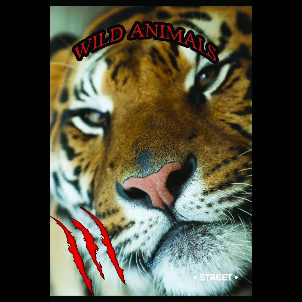 Zvezek s trdimi platnicami Street A4 vis