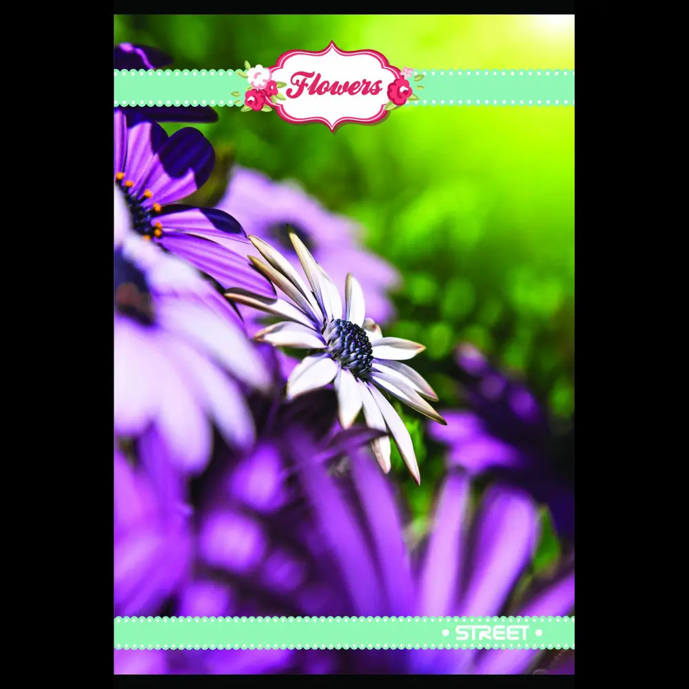 Zvezek s trdimi platnicami Street A4 vis