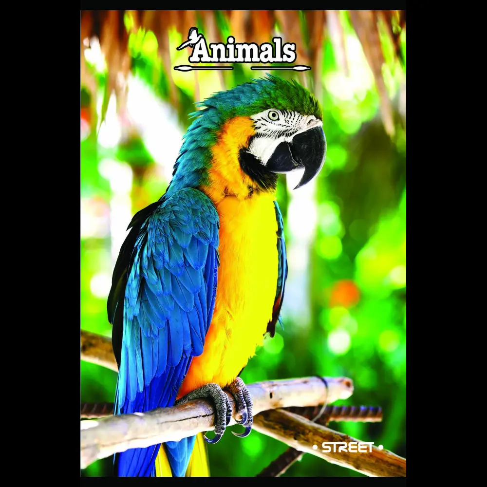 Zvezek s trdimi platnicami Street A4 vis