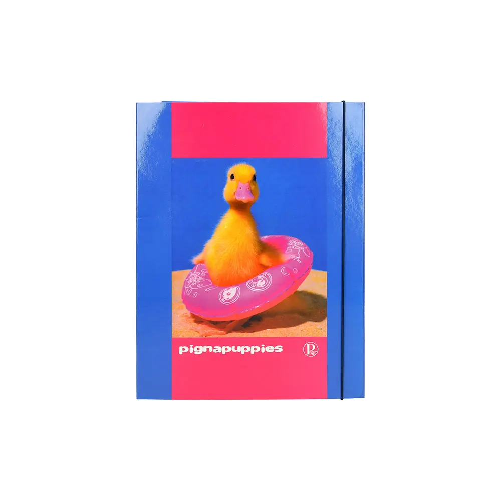 MAPA Z ELASTIKO PIGNA PUPPIES A4