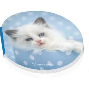 Beležka Rachel Hale