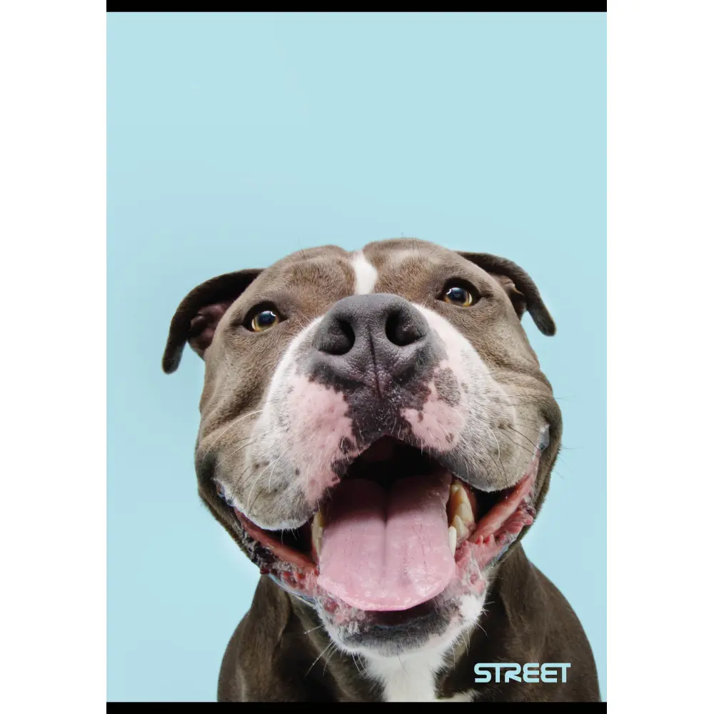 Zvezek Street Friends A4 brezčrtni