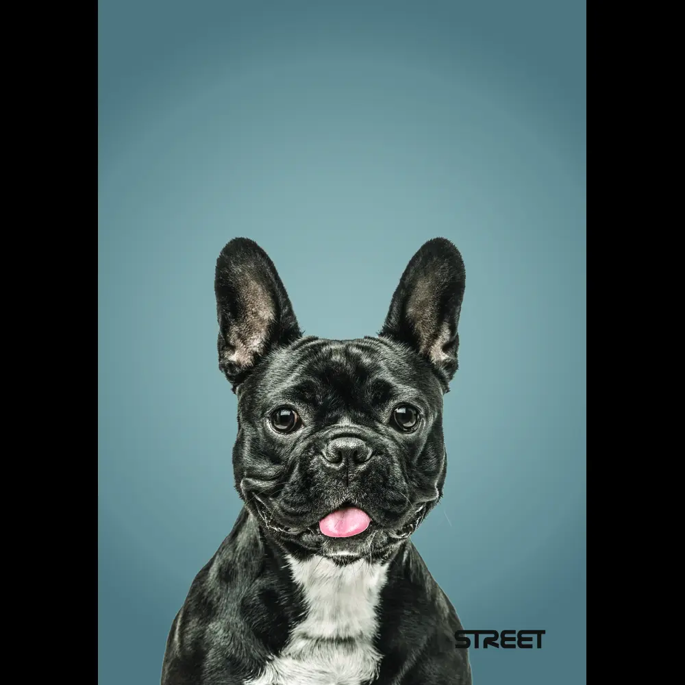 Zvezek Street Friends A5 črte z robom