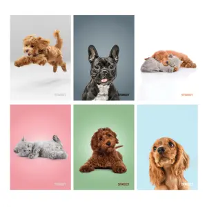 Zvezek Street Friends A5 črte z robom