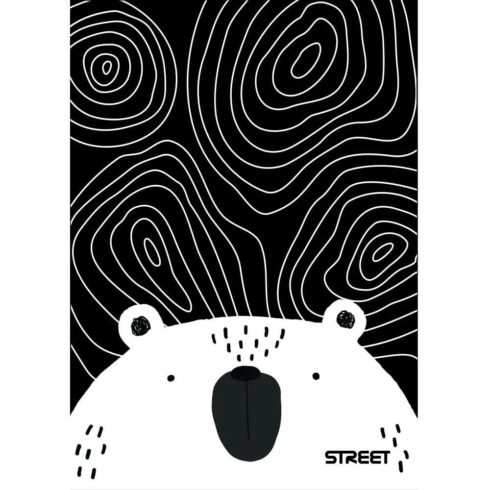 ZVEZEK STREET BLACK&WHITE A5 BI 54L