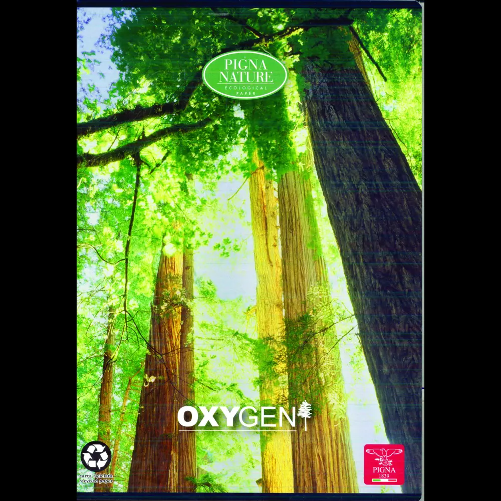 Zvezek Pigna Oxygen A4 mali karo