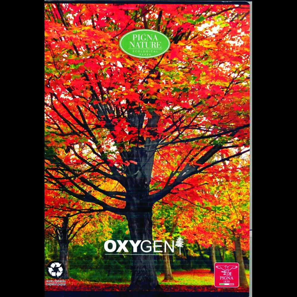 Zvezek Pigna Oxygen A4 mali karo