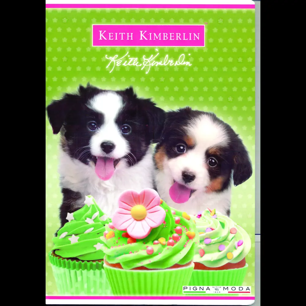Zvezek Pigna Keith Kimberlin A4 mali kar