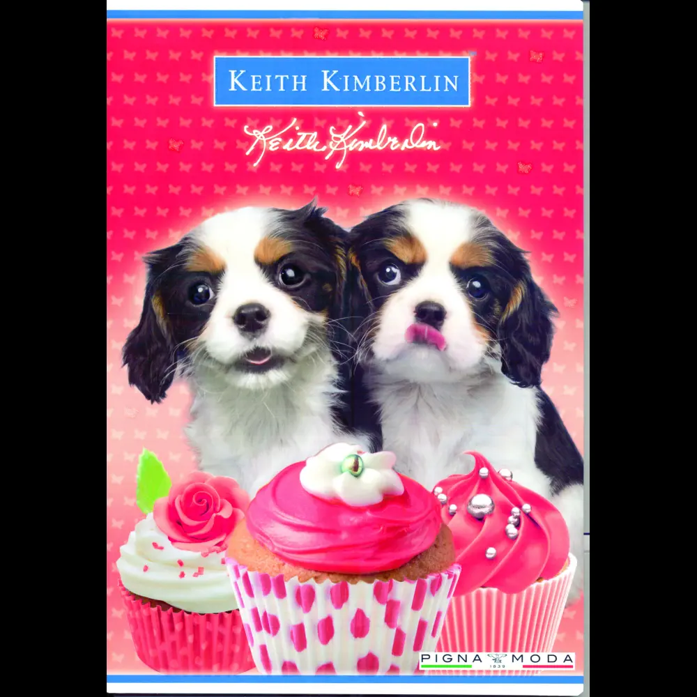 Zvezek Pigna Keith Kimberlin A4 mali kar