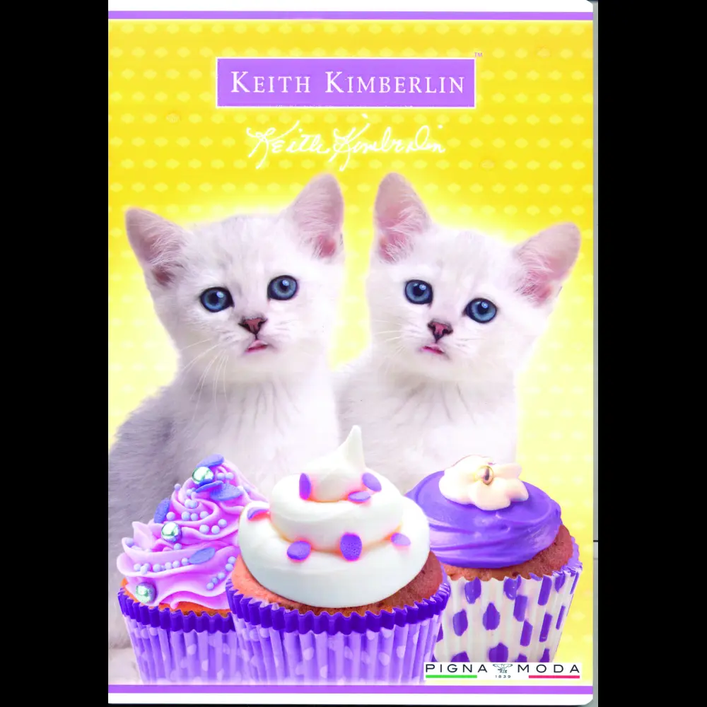Zvezek Pigna Keith Kimberlin A4 mali kar