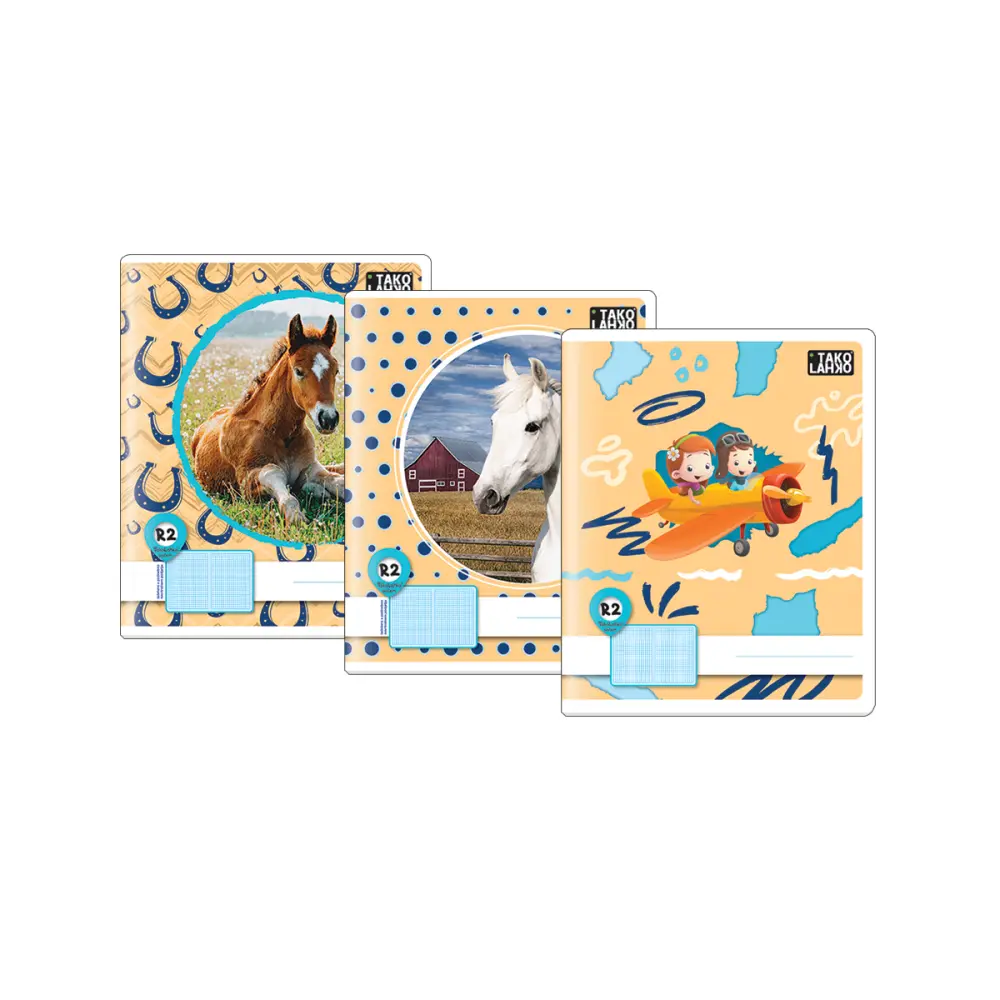 ZVEZEK TAKO LAHKO R2, 40L, B5 1cm karo