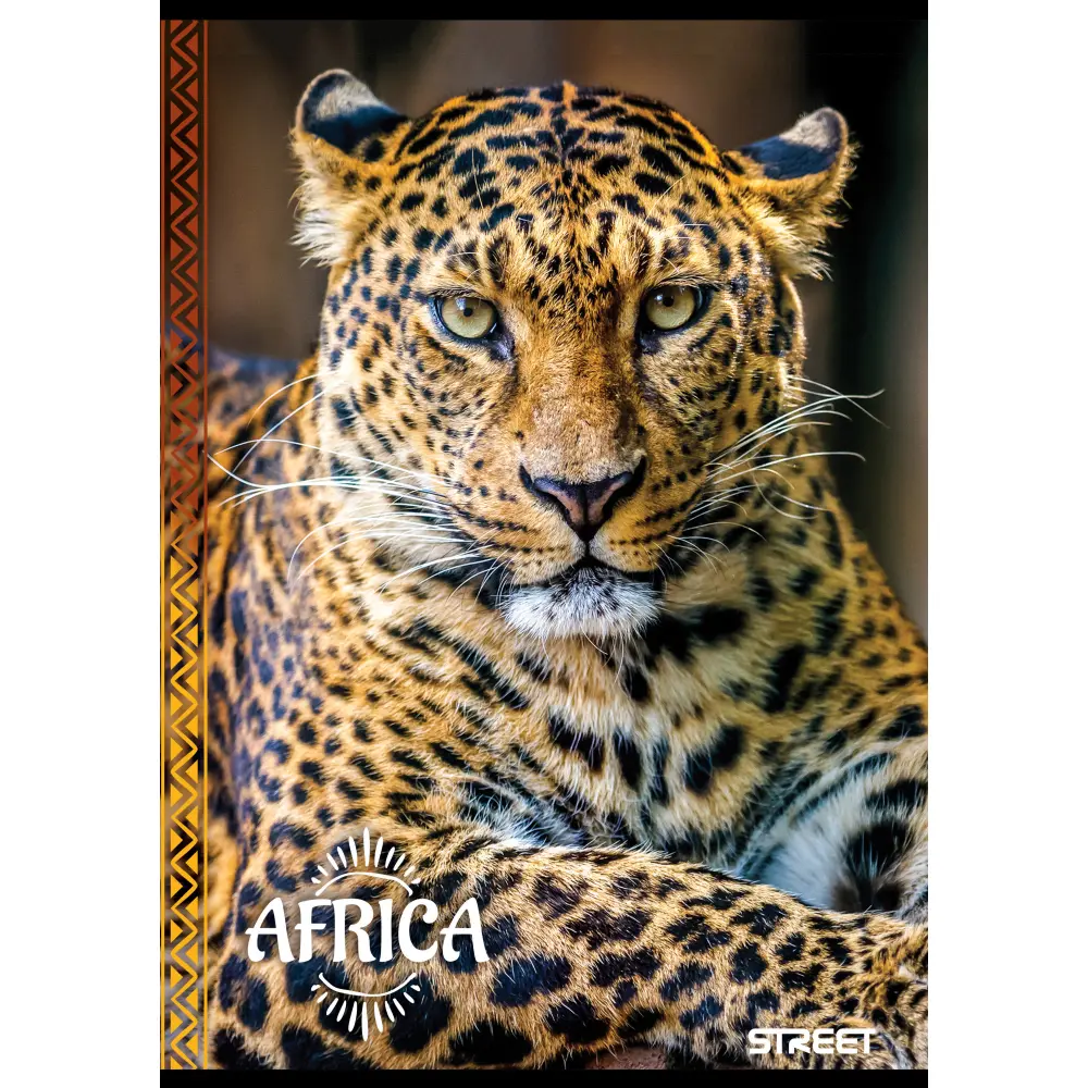 Zvezek Street Africa A4 črte z robom