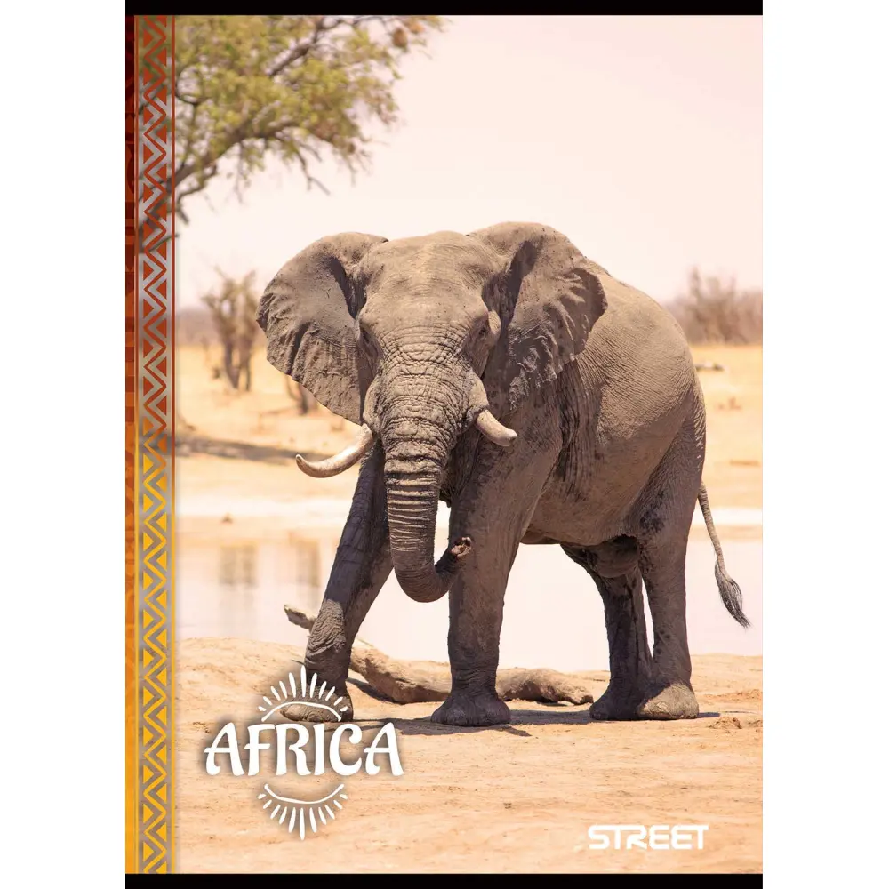 Zvezek Street Africa A4 črte z robom