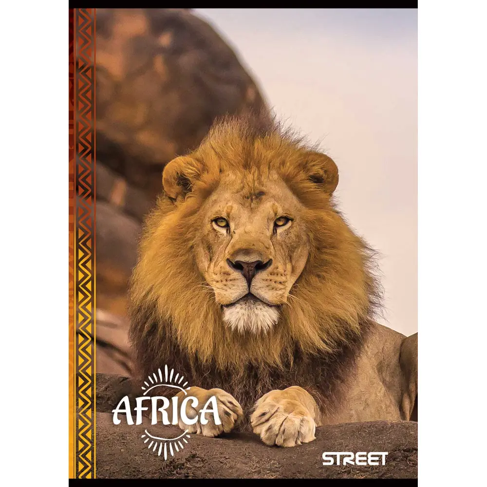 Zvezek Street Africa A4 1CM karo