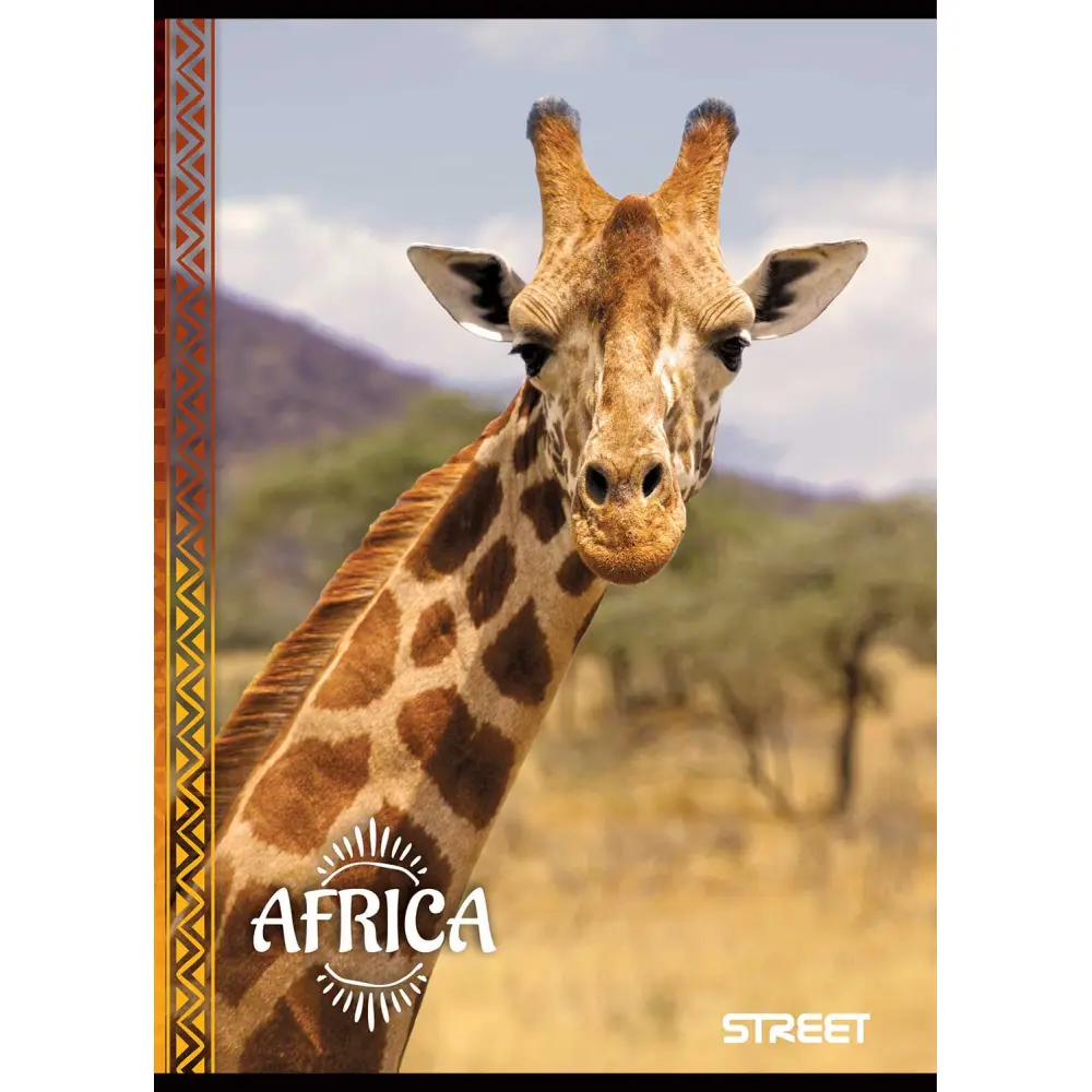 Zvezek Street Africa A4 1CM karo