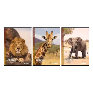 Zvezek Street Africa A4 1CM karo