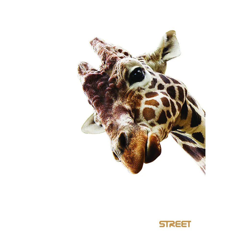 ZVEZEK STREET SAFARI A4 1R 54L 80GR